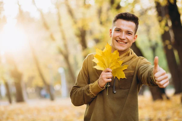 Портрет Красивого Парня Улыбающегося Держащего Букет Осенних Листьев Парке — стоковое фото