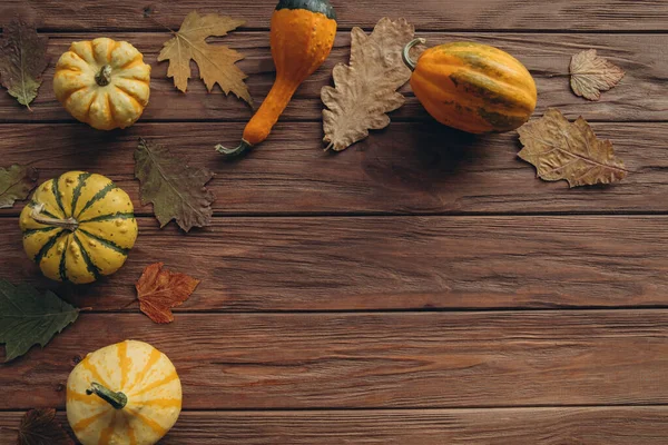 Thanksgiving background concept. Local produce pumpkins, autumn dry oak and maple leaves for decoration on wood textured table.