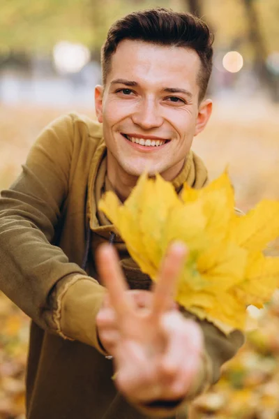 Retrato Cara Bonito Sorrindo Segurando Buquê Folhas Outono Parque — Fotografia de Stock