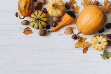 Balkabakları, beyaz ahşap arka plan manzaralı kuru yapraklar. Sonbahar kompozisyonu. Şükran Günü konsepti.