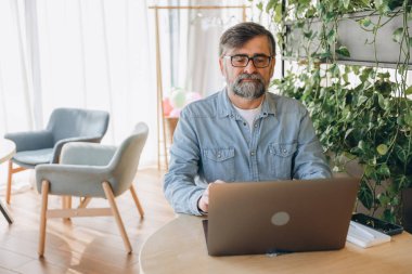 Bearded senior businessman working intently on a laptop in a modern office filled with greenery, showcasing a focused and productive atmosphere