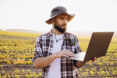 Bearded agronomist wearing plaid shirt and hat using laptop in corn field for precision agriculture and smart farming