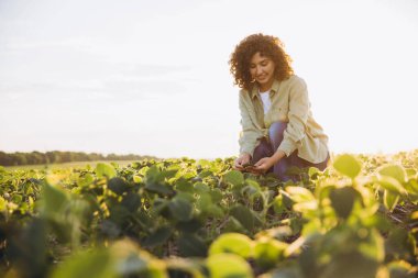 Female agricultural expert examining crops, ensuring healthy growth and maximizing yield potential