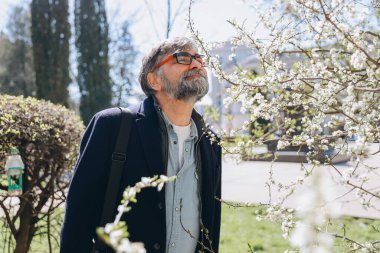 Bearded senior man sneezing and rubbing his eyes, experiencing allergy symptoms while surrounded by blooming trees in a vibrant spring park