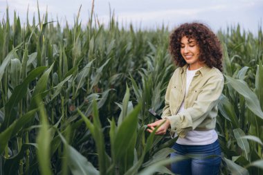 Agronomist examining corn plants in a vibrant field, using a magnifying glass to assess crop quality and growth in a sunny rural setting