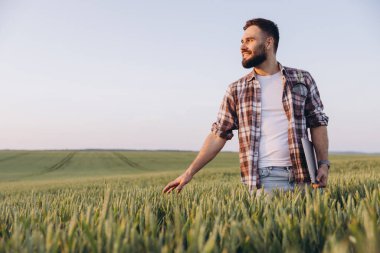 Agronomist walking through a wheat field at sunset, inspecting crops while using a laptop to monitor growth and ensure quality