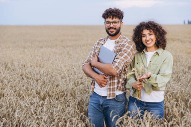 Two agronomists smiling and holding wheat ears and a laptop, standing in a cultivated field during a sunny summer day