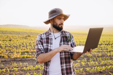 Bearded agronomist wearing a plaid shirt and hat, working on a laptop in a corn field during a vibrant sunset