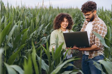 Two agronomists analyzing corn crops with a laptop in a vast cultivated field, focusing on data and sustainable farming practices