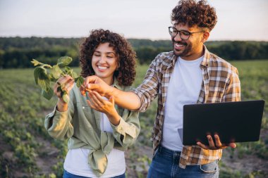 Two smiling agronomists are examining a soybean plant in a cultivated field, holding a laptop and discussing