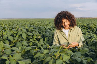 Young agronomist smiling and examining soybean plants in a cultivated field, ensuring healthy growth and maximizing crop yield