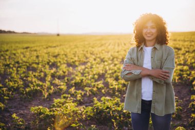 Young agronomist with curly hair smiling with crossed arms in a cultivated field of soybeans at sunset