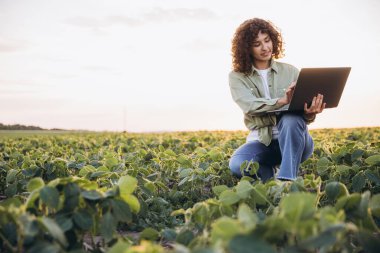 Young agronomist working on a laptop in a soybean plantation, analyzing crop data during a stunning sunset in the countryside