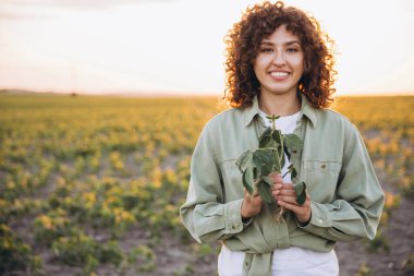 Smiling female agronomist inspecting growing crops of soybean plants in field at sunset, demonstrating sustainable agriculture and healthy food production