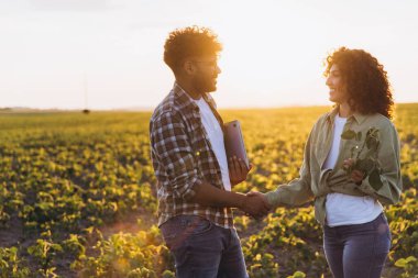 Two agronomists shaking hands in a soybean field at sunset, demonstrating collaboration and partnership in agriculture