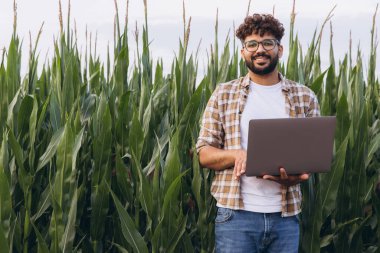 Young agronomist analyzing data with laptop in corn field, innovative agriculture and smart farming concept