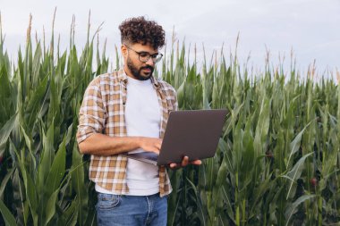 Agronomist analyzing corn plantation using laptop in cultivated field, modern agriculture and technology concept