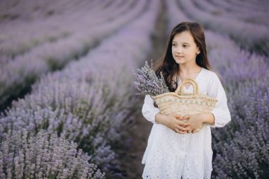 Girl in a flowing white dress, holding a wicker basket filled with a fragrant lavender bouquet, wandering through a vibrant lavender field