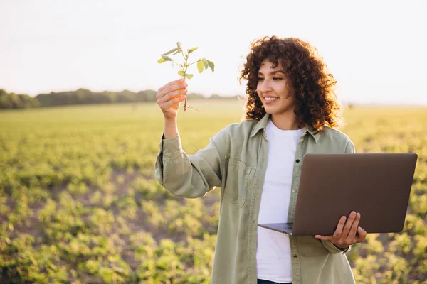 Gülümseyen tarım uzmanı soya fasulyesi hasadını analiz ediyor, araştırma için bitki ve dizüstü bilgisayar tutuyor ve tarımda sürdürülebilir gelişim sağlıyor.