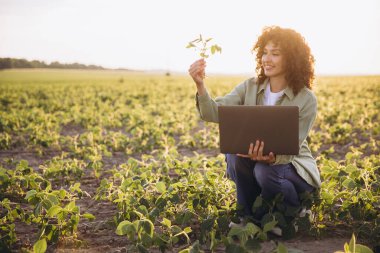 Soya fasulyesi bitkilerini analiz eden dişi tarımcı canlı bir günbatımı sırasında ekili bir alanda dizüstü bilgisayar kullanarak kırsal yenilikler sergiliyor.