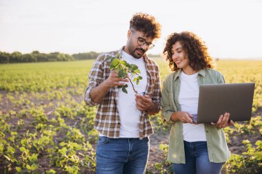 Two agronomists are examining a soybean plant and using a laptop in a field, performing quality control