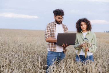 Two agronomists are standing in a wheat field, using a laptop and magnifying glass to examine the crops