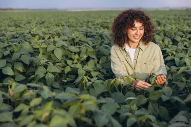 Smiling agronomist inspecting healthy soybean plants in a vibrant agricultural field, focusing on crop growth and quality care