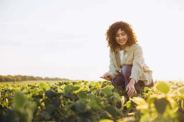 Smiling female agronomist examining crops of cultivated soybean plants in agricultural field at sunset