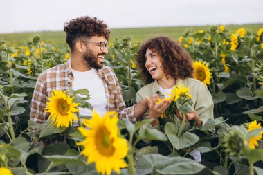 Two agronomists are examining sunflowers and talking in cultivated field, enjoying a moment of sharing and collaboration surrounded by nature