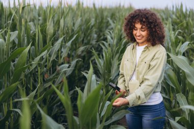 Agronomist woman inspecting corn crops with magnifying glass in a corn field, she's smiling and touching a leaf