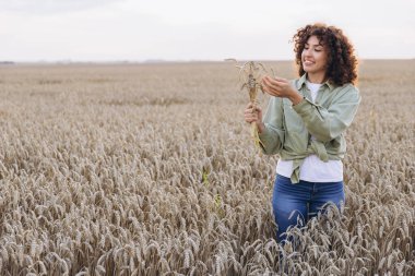 Young agronomist woman examining ripe wheat ears in a vast, sunlit field of durum wheat, showcasing her expertise in agricultural practices