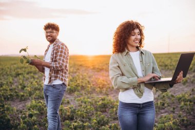 Two agronomists are working in a soybean field at sunset, one examining a soybean plant and the other using a laptop