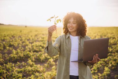 Smiling female agronomist examining a soybean plant and holding a laptop, standing in a cultivated field at sunset