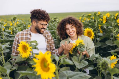 Two agronomists smiling and examining a vibrant sunflower amidst a colorful field of blooming sunflowers on a sunny summer day