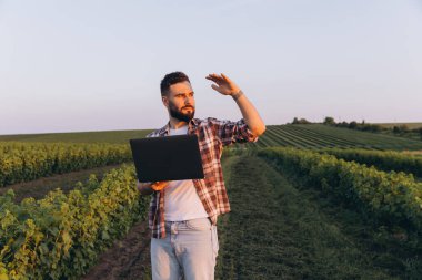 Young agronomist using laptop for analyzing harvest progress in currant field, inspecting crops and planning strategies for efficient growth and production