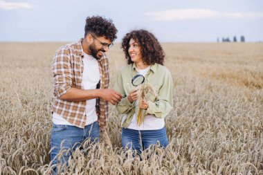 Two agronomists smiling and collaborating, inspecting the wheat crop with a magnifying glass in a golden field