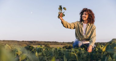 Curly haired female agronomist examining cultivated soybean plants in a picturesque field during a serene sunset, showcasing dedication to sustainable agriculture