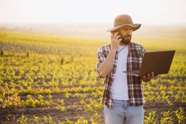 Bearded agronomist wearing a hat, using a laptop while talking on the phone, working in a corn field during a stunning sunset