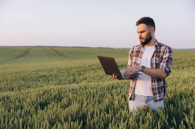 Bearded agronomist using laptop standing in wheat field, implementing modern technology in agriculture
