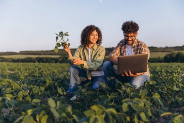 Two smiling agronomists analyzing a soybean plant and using a laptop in a cultivated field, implementing innovative technologies in agriculture