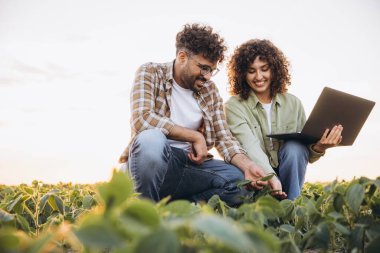 Two agronomists squatting in a lush soybean field, inspecting crops while consulting a laptop for data analysis and research insights