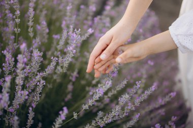 Mother and daughter gently touching lavender flowers in a beautiful field, enjoying a peaceful moment together surrounded by nature