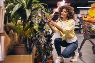 Smiling curly haired woman crouching in a supermarket, selecting a small potted plant while enjoying her shopping experience