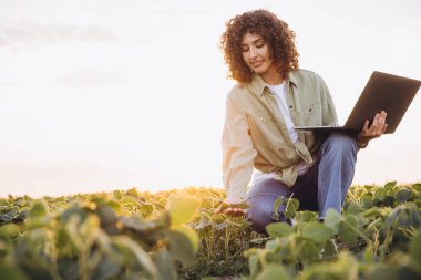Young agronomist woman using laptop and examining crops in soybean field at sunset, sustainable agriculture concept