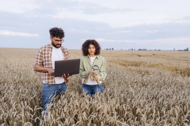 Two agronomists are standing in a wheat field, using a laptop and magnifying glass to examine the crops