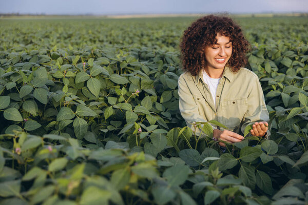Smiling agronomist inspecting healthy soybean plants in a vibrant agricultural field, focusing on crop growth and quality care