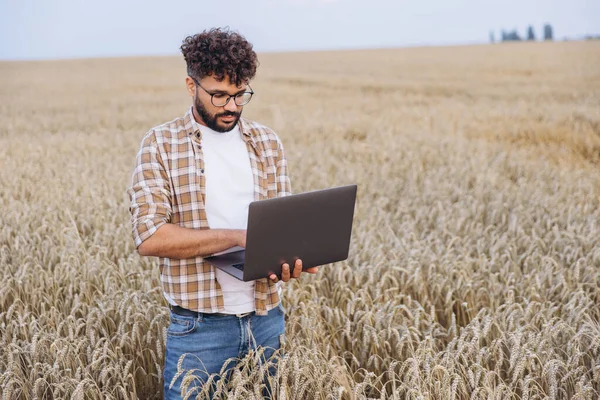 Agronomist analyzing data of his wheat field using laptop, innovative technologies in agriculture