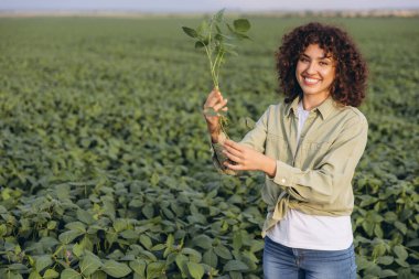 Smiling agronomist examining soybean plant in cultivated field, agriculture and crop protection concept