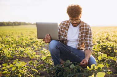 Agronomist crouching in soybean field using laptop for analysis and quality control, ensuring healthy crop growth