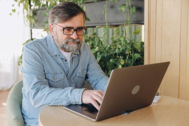 Focused mature entrepreneur using laptop, typing on keyboard, managing business remotely in modern office with green plants